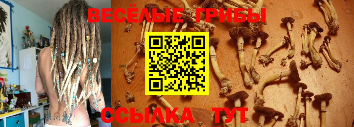 Гурьевск  Псилоцибиновые грибы ЛСД  Вход с VPN  Галлюциногенные грибы MAGIC MUSHROOMS 