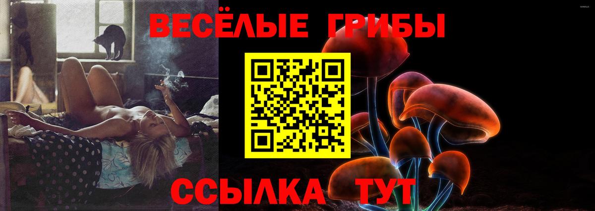 Псилоцибиновые грибы ЛСД Гурьевск